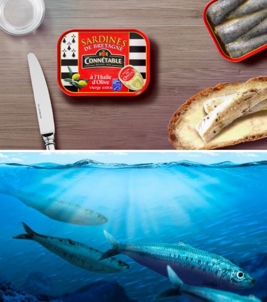 rough-otto-sardines-1.jpg - OTTO | Virginie